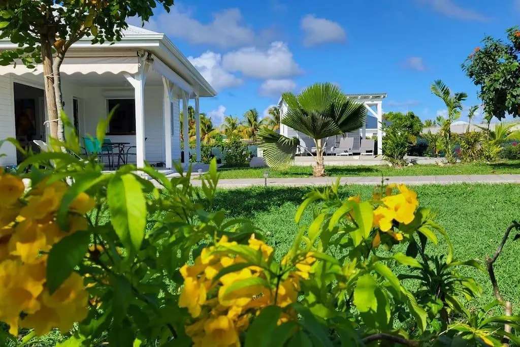 La Kaz A Kikite - Magnifique Villa De Standing Avec Piscine Privative location