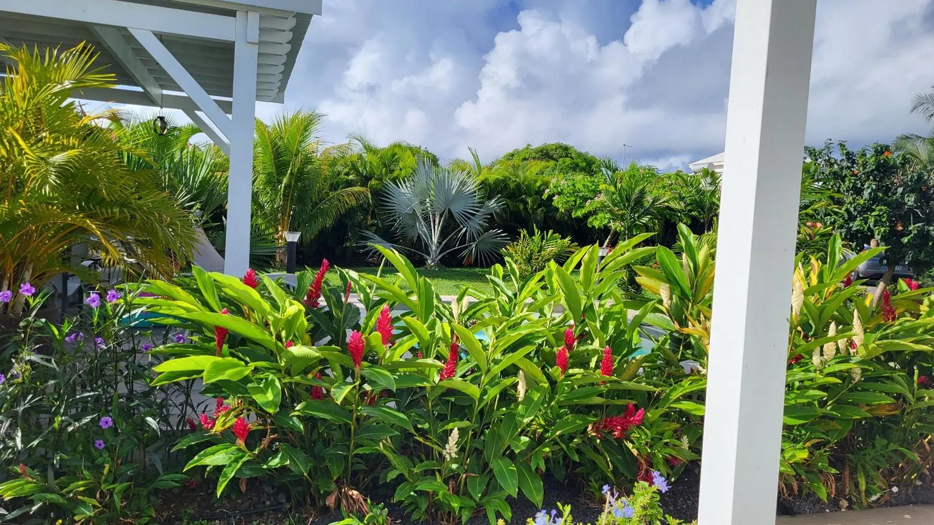 La Kaz A Kikite - Magnifique Villa De Standing Avec Piscine Privative Saint-Francois  Holiday home Saint-Francois (Grande-Terre)