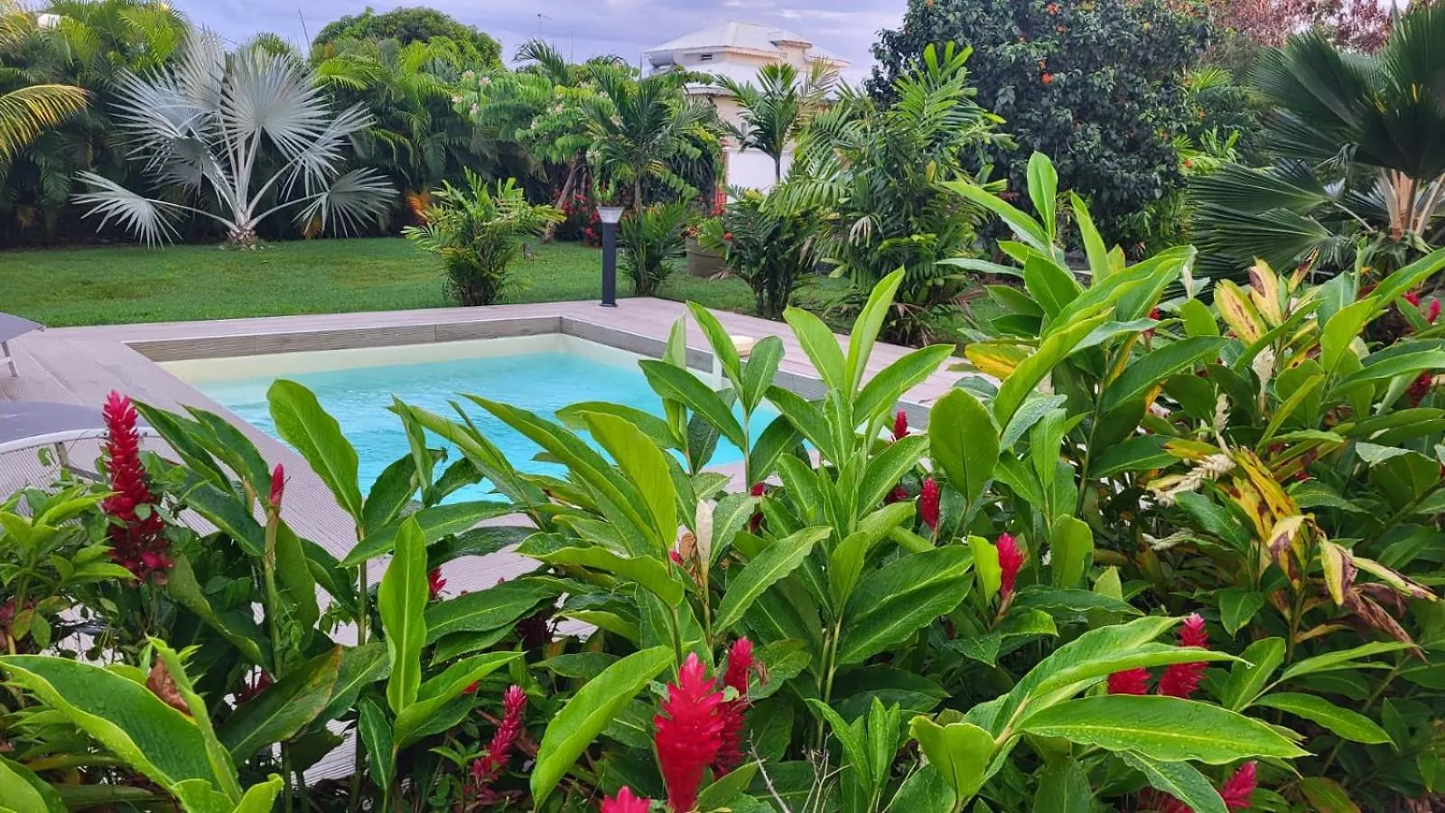 La Kaz A Kikite - Magnifique Villa De Standing Avec Piscine Privative Saint-Francois  Holiday home