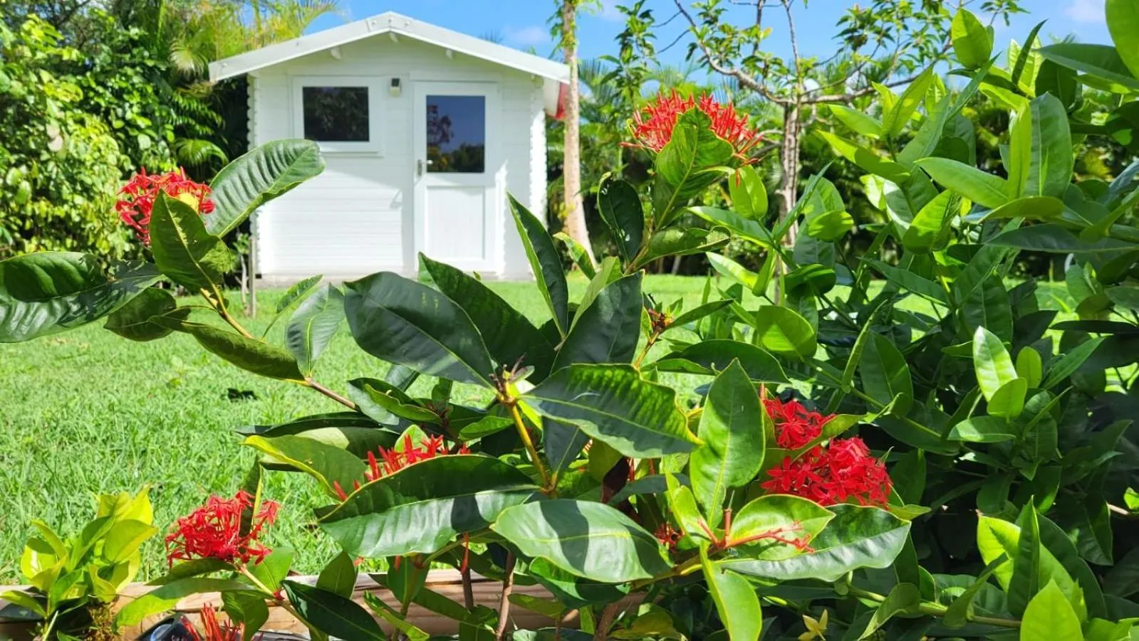 La Kaz A Kikite - Magnifique Villa De Standing Avec Piscine Privative Saint-Francois  Guadeloupe