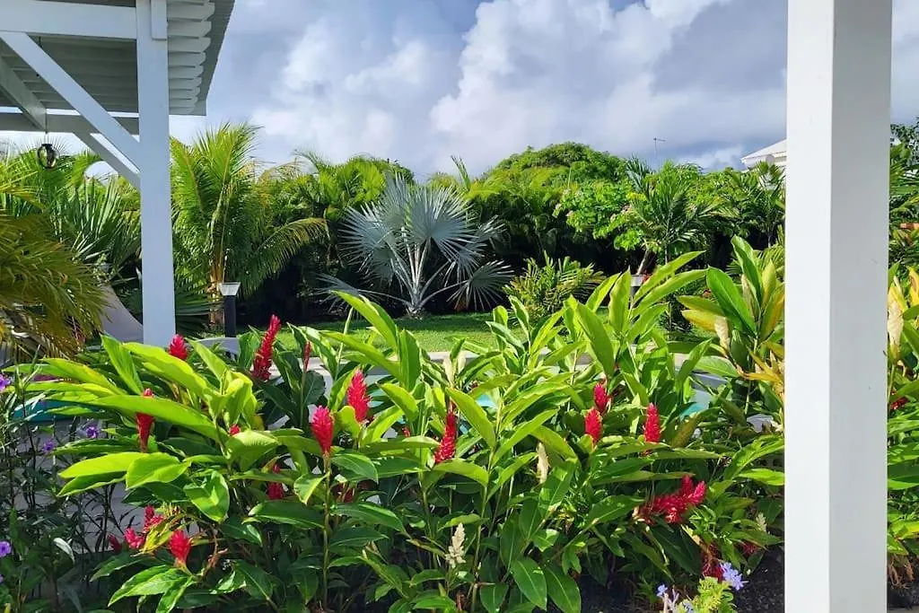 La Kaz A Kikite - Magnifique Villa De Standing Avec Piscine Privative Saint-Francois  Guadeloupe