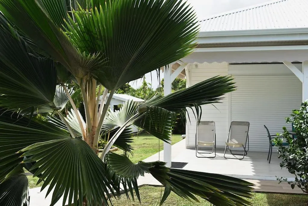 Holiday home La Kaz A Kikite - Magnifique Villa De Standing Avec Piscine Privative Saint-Francois
