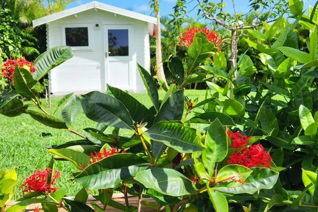 Holiday home La Kaz A Kikite - Magnifique Villa De Standing Avec Piscine Privative Saint-Francois